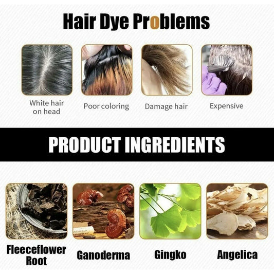 Champú Negro 3 en 1 – Cubre Canas, Nutre y Da Brillo al Instante